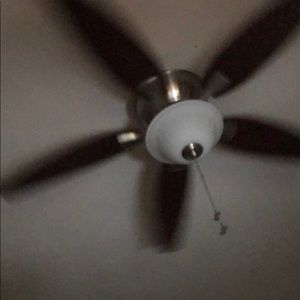 Meet your Posher, Zander